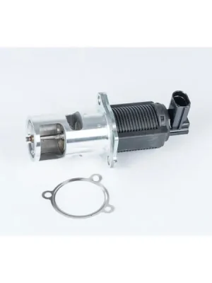 Nakupujte Hned AGR-Ventil BorgWarner 710723D