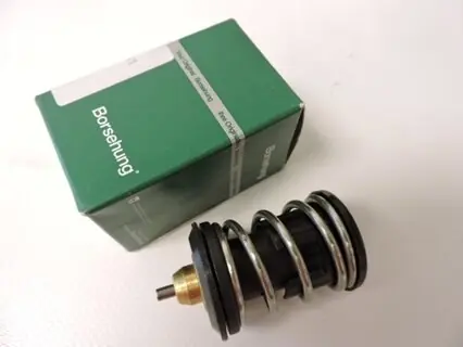 Časově Omezené Termostat OCTAVIA III. 1,2 TSI, BORSEHUNG B18261
