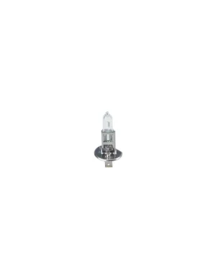 Dokud Zásoby Vydrží Bosch 1 987 302 011 Žárovka 12V H1 55W P14.5s