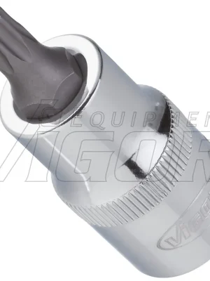 Odeslání Ihned Vigor Nástrčná hlavice Torx® T50 V2157