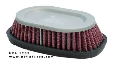 Vzduchový filtr HIFLOFILTRO HFA1205 Značkový