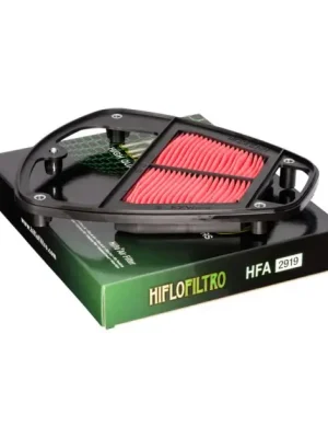 Bezpečná Platba Vzduchový filtr HIFLOFILTRO HFA2919
