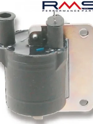 Zapalovací cívka RMS 246010010 Expresní Doručení