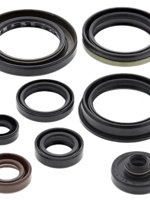 Sada gufer motoru WINDEROSA EOSK 822346 Pouze Dnes