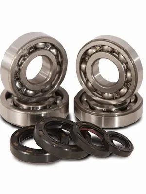 Novinka Main bearing & seal kits C&L COMPANIES K229
