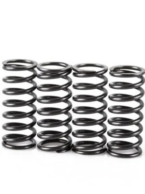 Nakupujte Hned MOTION STUFF SPR0171 Spring clutch kit (STF-501-5039)