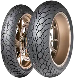 Nejprodávanější Pneumatika DUNLOP 637280 160/60ZR17 (69W) TL M+S MUTANT