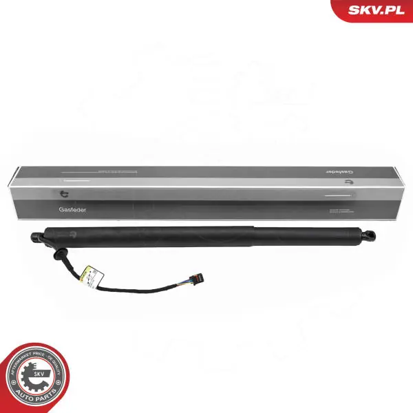 Elektromotor, zadní dveře ESEN SKV 52SKV190 Nejlepší Volba