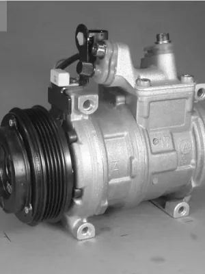 Jen Po Omezenou Doba Kompresor, klimatizace DENSO DCP05001