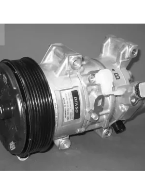 Přímo Od Výrobce Kompresor, klimatizace DENSO DCP50121