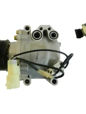 Pouze Dnes Kompresor, klimatizace MAHLE ACP 1052 000S