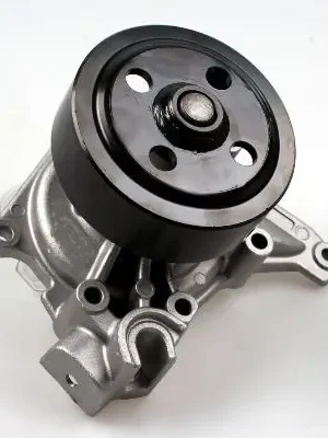 Omezená Nabídka Vodní čerpadlo, chlazení motoru HEPU P7536