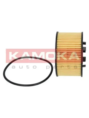 Aktuální Olejový filtr KAMOKA F103001