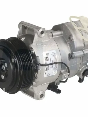 Kompresor, klimatizace DELPHI TSP0155988 Výprodej