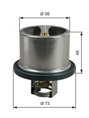 Speciální Cena Termostat, chladivo GATES TH51785G1