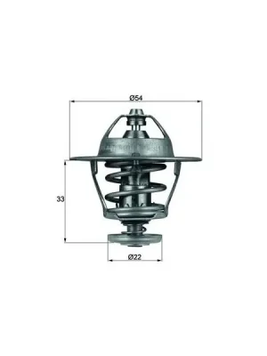 Cenový Hit Termostat, chladivo MAHLE TX 53 85D