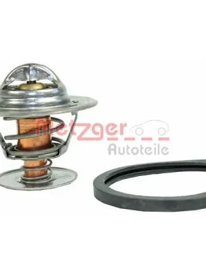 Jen Po Omezenou Doba Termostat, chladivo METZGER 4006270