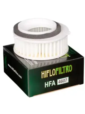 Nízká Cena Vzduchový filtr HFA4607, HIFLOFILTRO