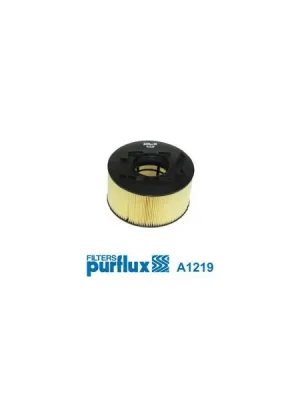 Časově Omezené Vzduchový filtr PURFLUX A1219