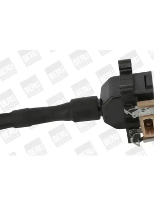 Ihned K Objednání Zapalovací cívka BorgWarner (BERU) ZS014