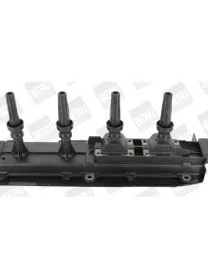 Omezená Nabídka Zapalovací cívka BorgWarner (BERU) ZS349