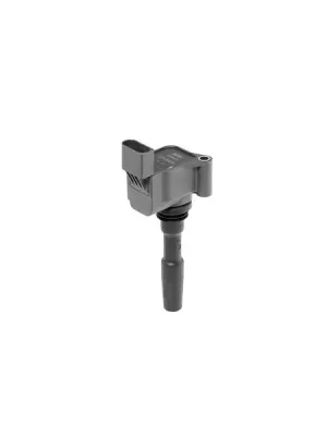 Výhodná Nabídka Zapalovací cívka BorgWarner (BERU) ZSE223