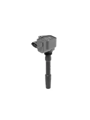 Zapalovací cívka BorgWarner (BERU) ZSE226 Kup Teď